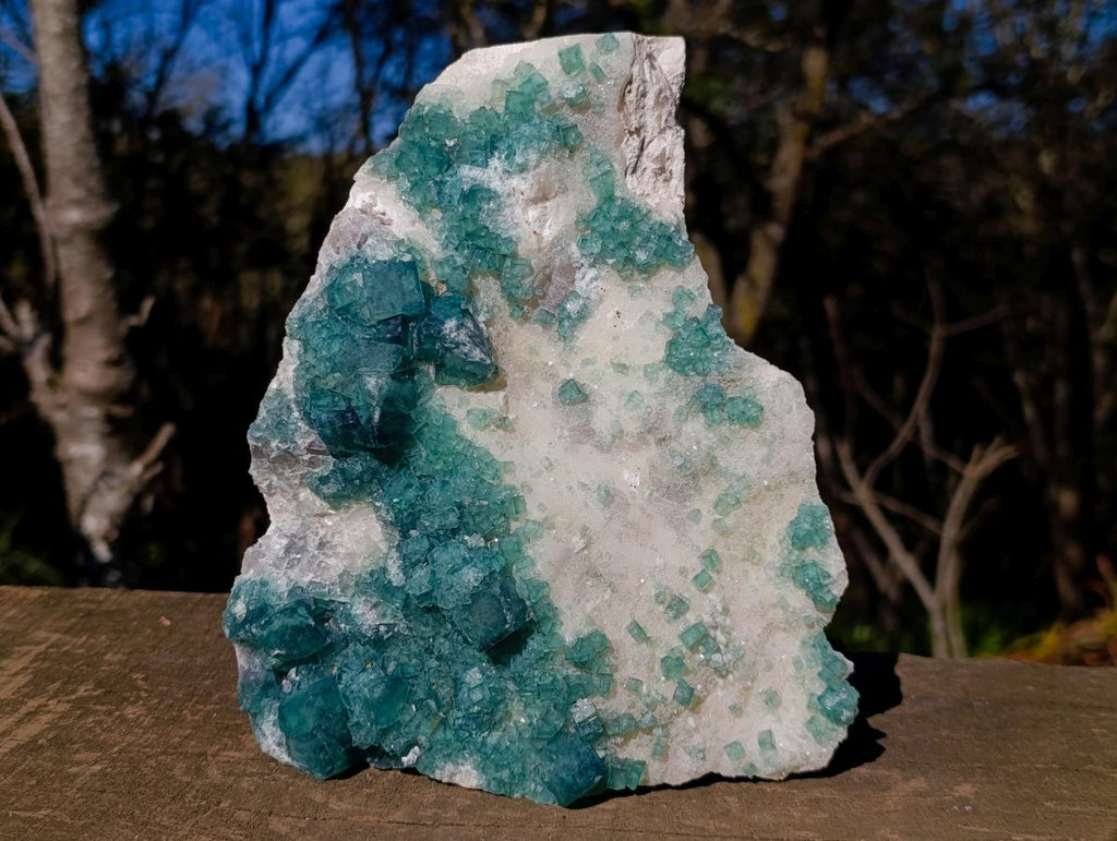 Natural Large Green Cubic Fluorite Specimen x 1 From Mandrosonoro, Madagascar
