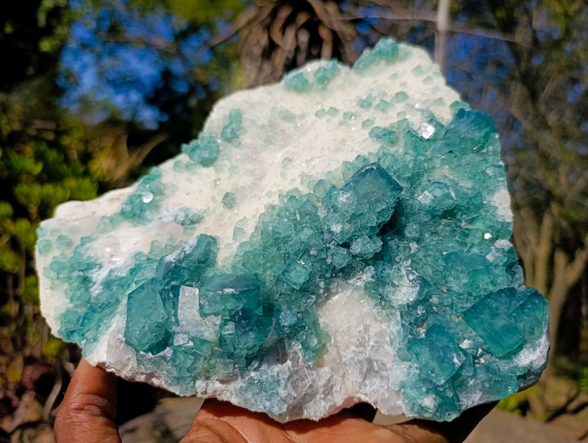 Natural Large Green Cubic Fluorite Specimen x 1 From Mandrosonoro, Madagascar