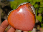 Polished Polychrome Jasper Hearts x 6 From NW Coast, Madagascar