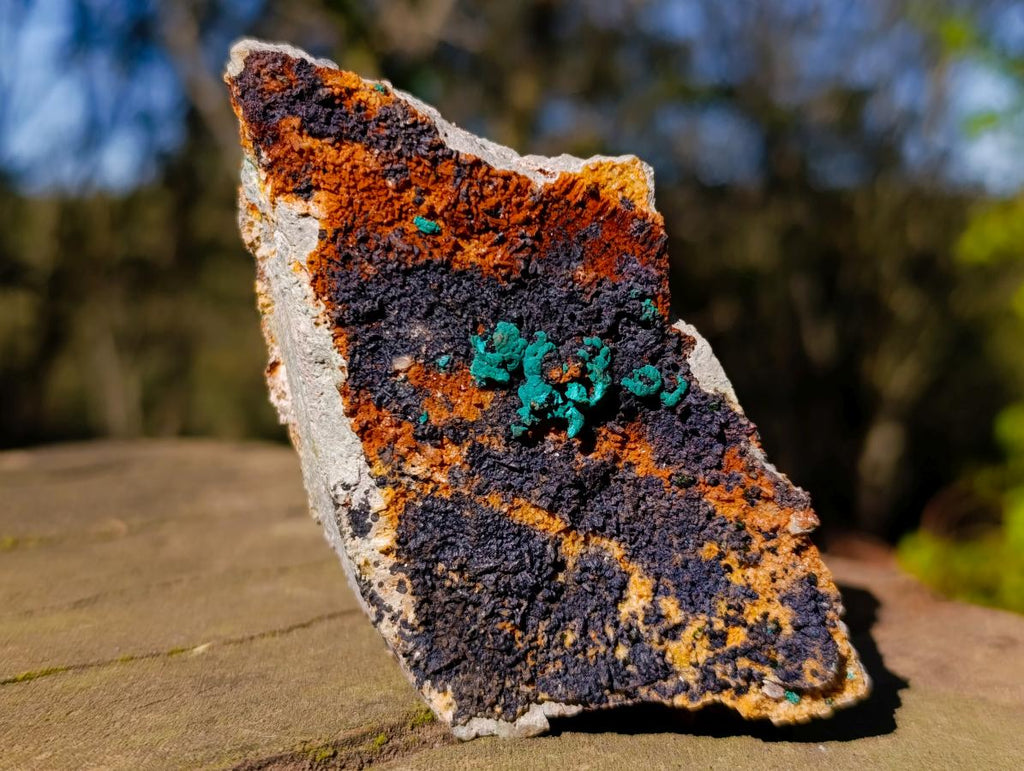 Natural Libethenite Specimens on Dolomite Matrix x 2 From Shituru, Congo