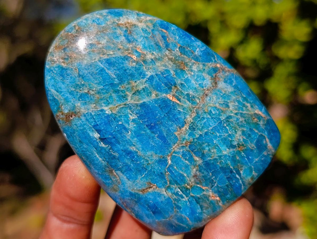 Polished Blue Apatite Standing Display Pieces x 6 From Betroka, Madagascar