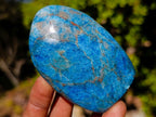 Polished Blue Apatite Standing Display Pieces x 6 From Betroka, Madagascar