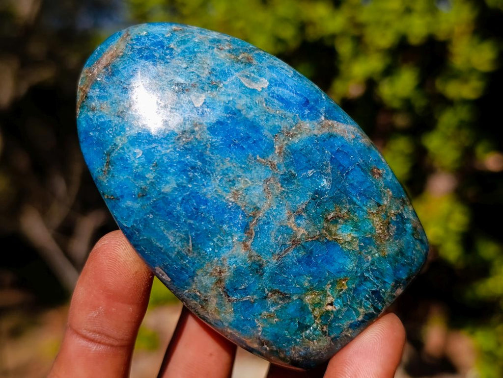 Polished Blue Apatite Standing Display Pieces x 6 From Betroka, Madagascar