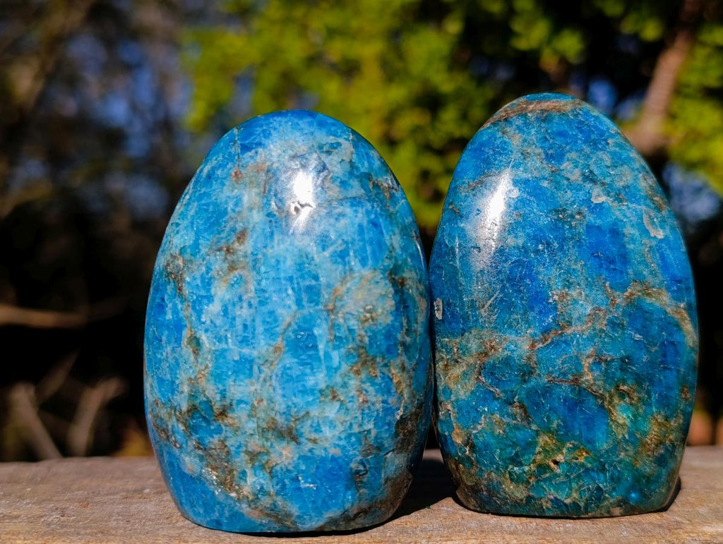Polished Blue Apatite Standing Display Pieces x 6 From Betroka, Madagascar