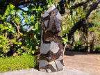 Polished and Natural Large Septerye Sauvage Display Crystal x 1 From Mahajanga, Madagascar