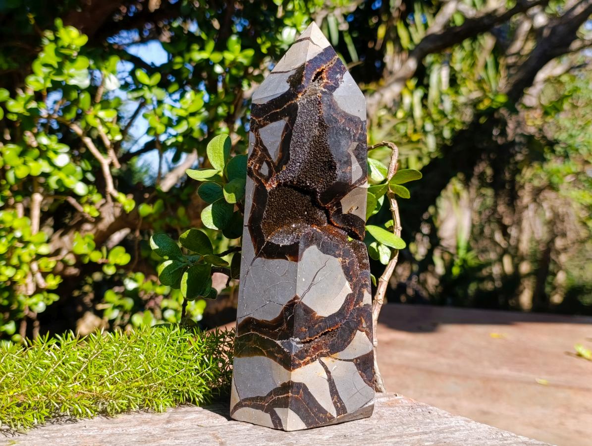 Polished and Natural Large Septerye Sauvage Display Crystal x 1 From Mahajanga, Madagascar