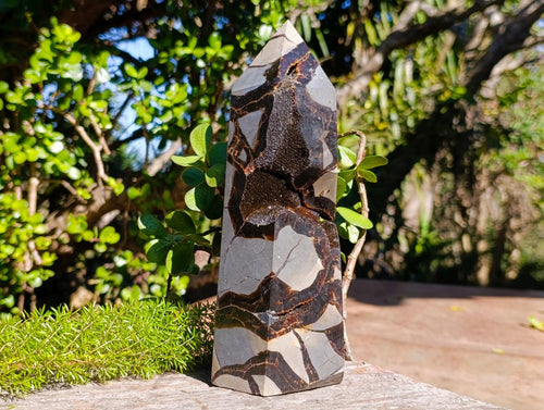 Polished Large Septerye Sauvage "Tower" x 1 From Mahajanga, Madagascar - Toprock Gemstones and Minerals 