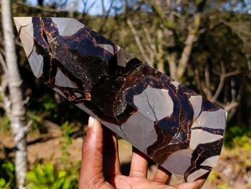 Polished Large Septerye Sauvage "Tower" x 1 From Mahajanga, Madagascar - Toprock Gemstones and Minerals 