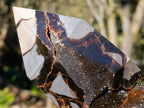 Polished and Natural Large Septerye Sauvage Display Crystal x 1 From Mahajanga, Madagascar