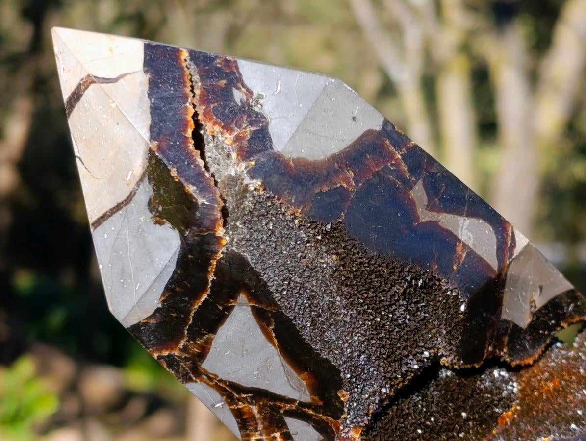 Polished and Natural Large Septerye Sauvage Display Crystal x 1 From Mahajanga, Madagascar