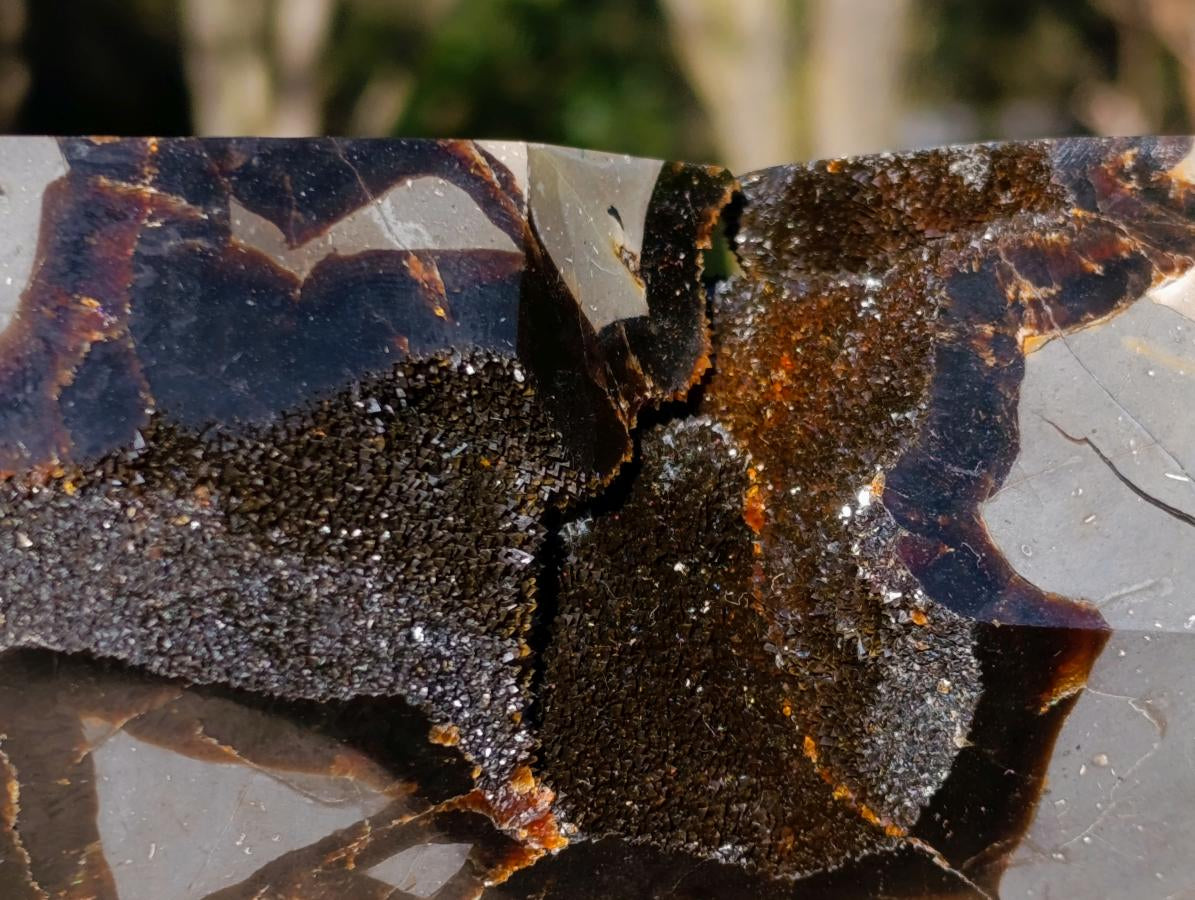 Polished and Natural Large Septerye Sauvage Display Crystal x 1 From Mahajanga, Madagascar