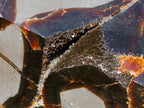Polished and Natural Large Septerye Sauvage Display Crystal x 1 From Mahajanga, Madagascar