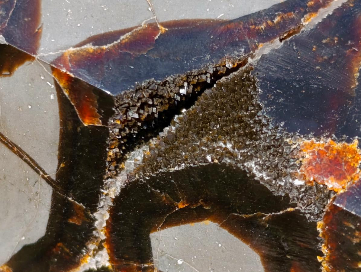 Polished and Natural Large Septerye Sauvage Display Crystal x 1 From Mahajanga, Madagascar