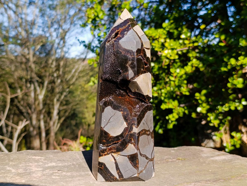 Polished and Natural Large Septerye Sauvage Display Crystal x 1 From Mahajanga, Madagascar