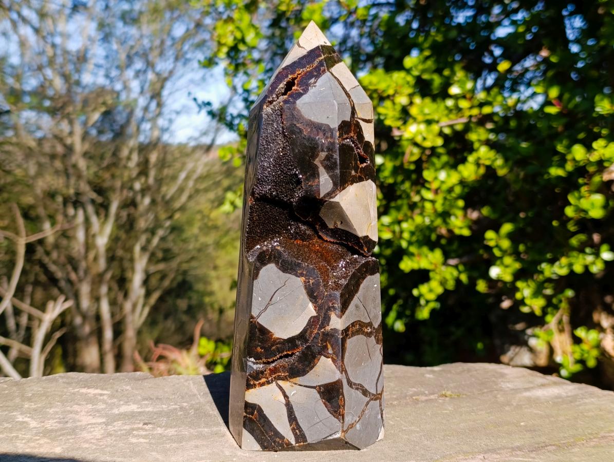 Polished and Natural Large Septerye Sauvage Display Crystal x 1 From Mahajanga, Madagascar