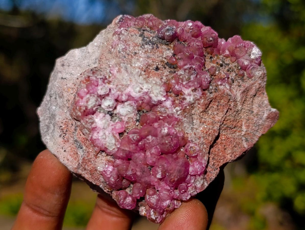 Natural Spherocobaltite Specimens x 6 From Musonoi Mine, Congo