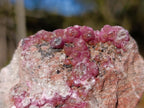 Natural Spherocobaltite Specimens x 6 From Musonoi Mine, Congo