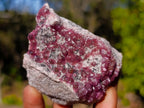 Natural Spherocobaltite Specimens x 6 From Musonoi Mine, Congo
