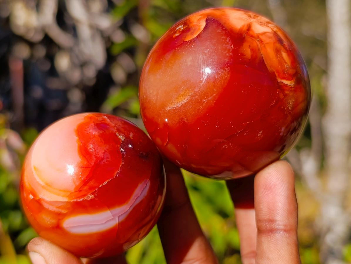 Polished Carnelian Agate Gemstone Spheres x 6 From Madagascar