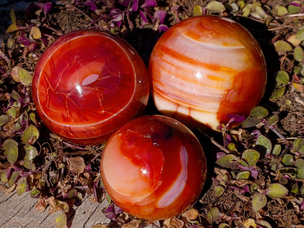Polished Carnelian Agate Gemstone Spheres x 6 From Madagascar