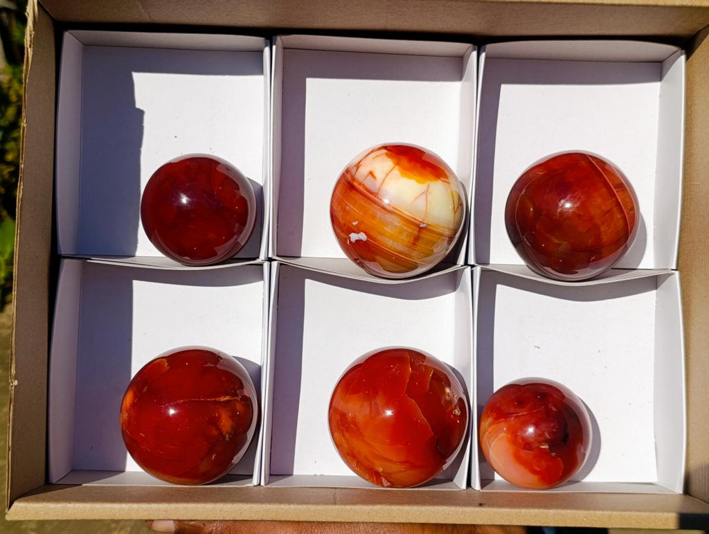 Polished Carnelian Agate Gemstone Spheres x 6 From Madagascar