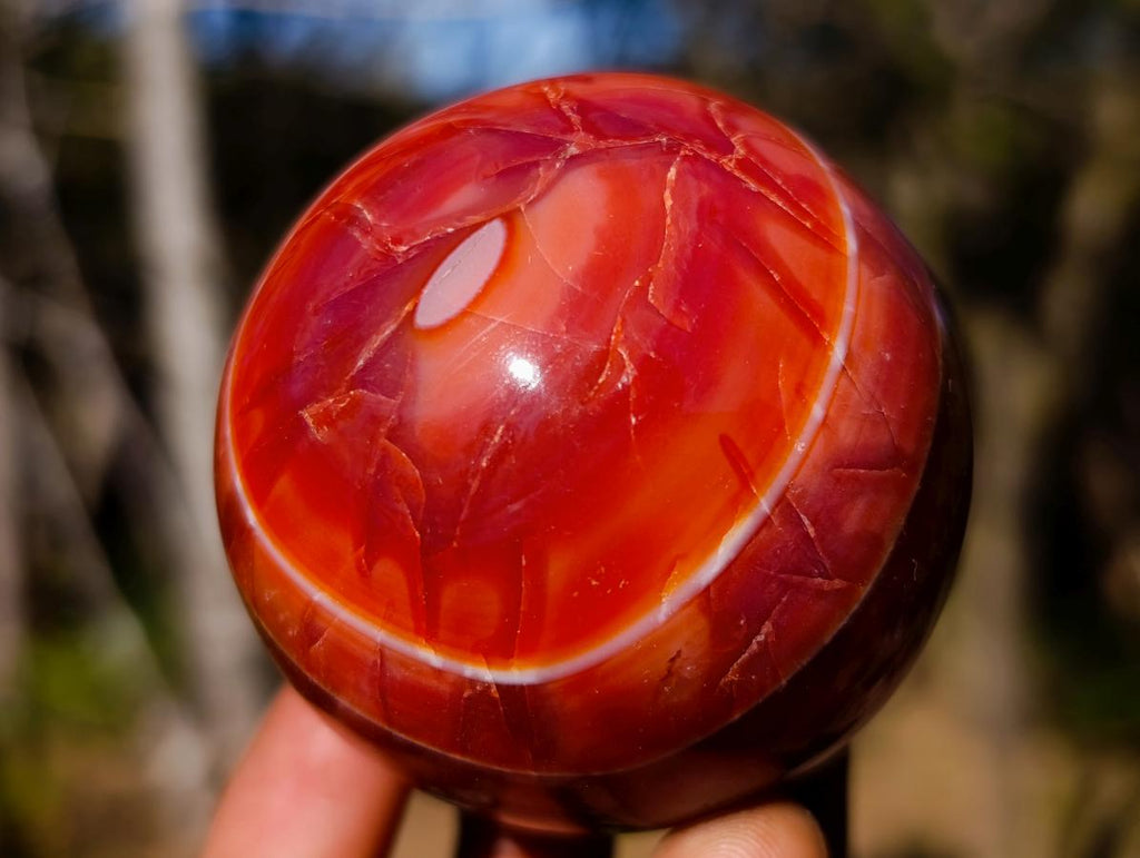 Polished Carnelian Agate Gemstone Spheres x 6 From Madagascar