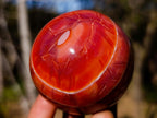 Polished Carnelian Agate Gemstone Spheres x 6 From Madagascar