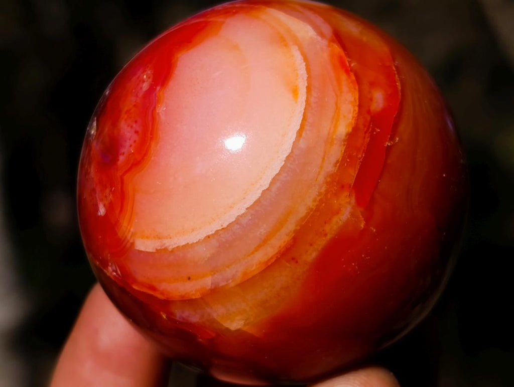 Polished Carnelian Agate Gemstone Spheres x 6 From Madagascar