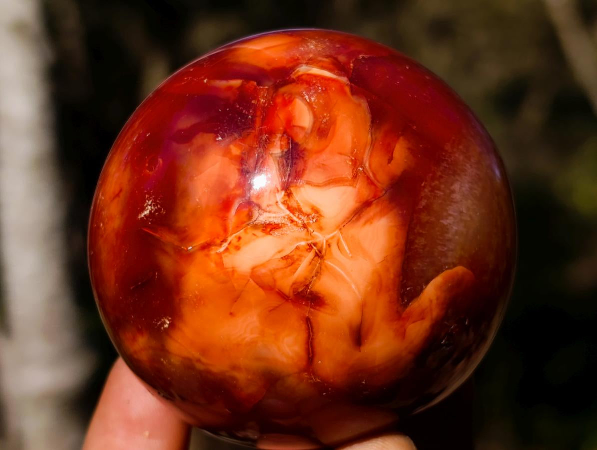 Polished Carnelian Agate Gemstone Spheres x 6 From Madagascar