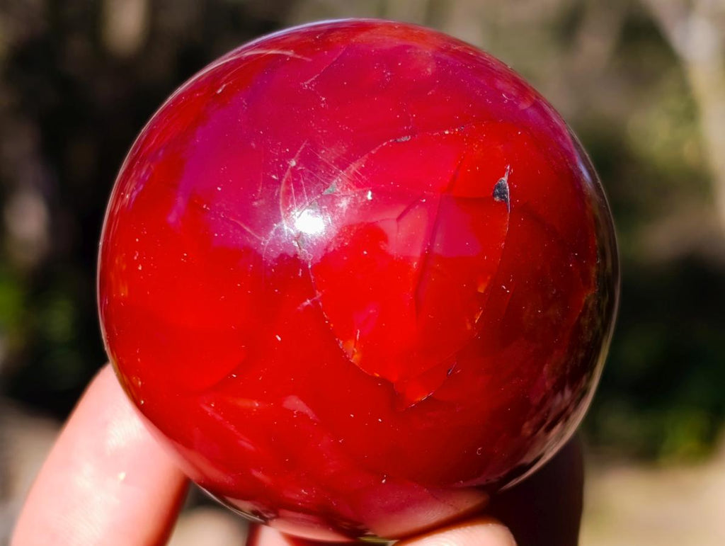 Polished Carnelian Agate Gemstone Spheres x 6 From Madagascar