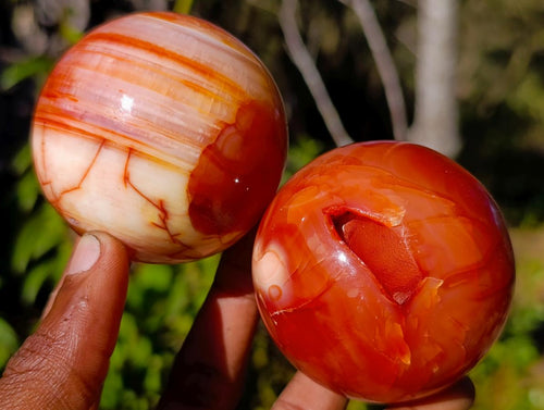 Polished Carnelian Agate Gemstone Spheres x 6 From Madagascar - Toprock Gemstones and Minerals 