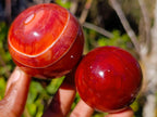 Polished Carnelian Agate Gemstone Spheres x 6 From Madagascar