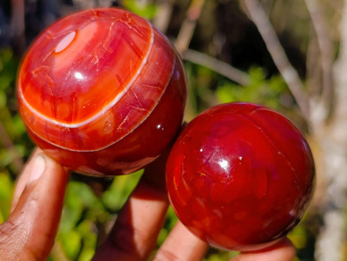 Polished Carnelian Agate Gemstone Spheres x 6 From Madagascar - Toprock Gemstones and Minerals 