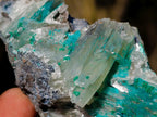 Natural Rare Barite Specimens with Malachite x 6 From Shangulowé Mine, Congo