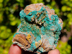 Natural Rare Barite Specimens with Malachite x 6 From Shangulowé Mine, Congo