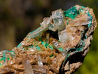 Natural Rare Barite Specimens with Malachite x 6 From Shangulowé Mine, Congo