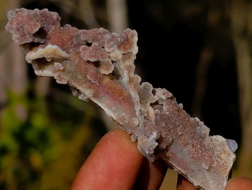 Natural Drusy Fairy Spirit Quartz Crystals x 35 From Boekenhouthoek, South Africa - Toprock Gemstones and Minerals 