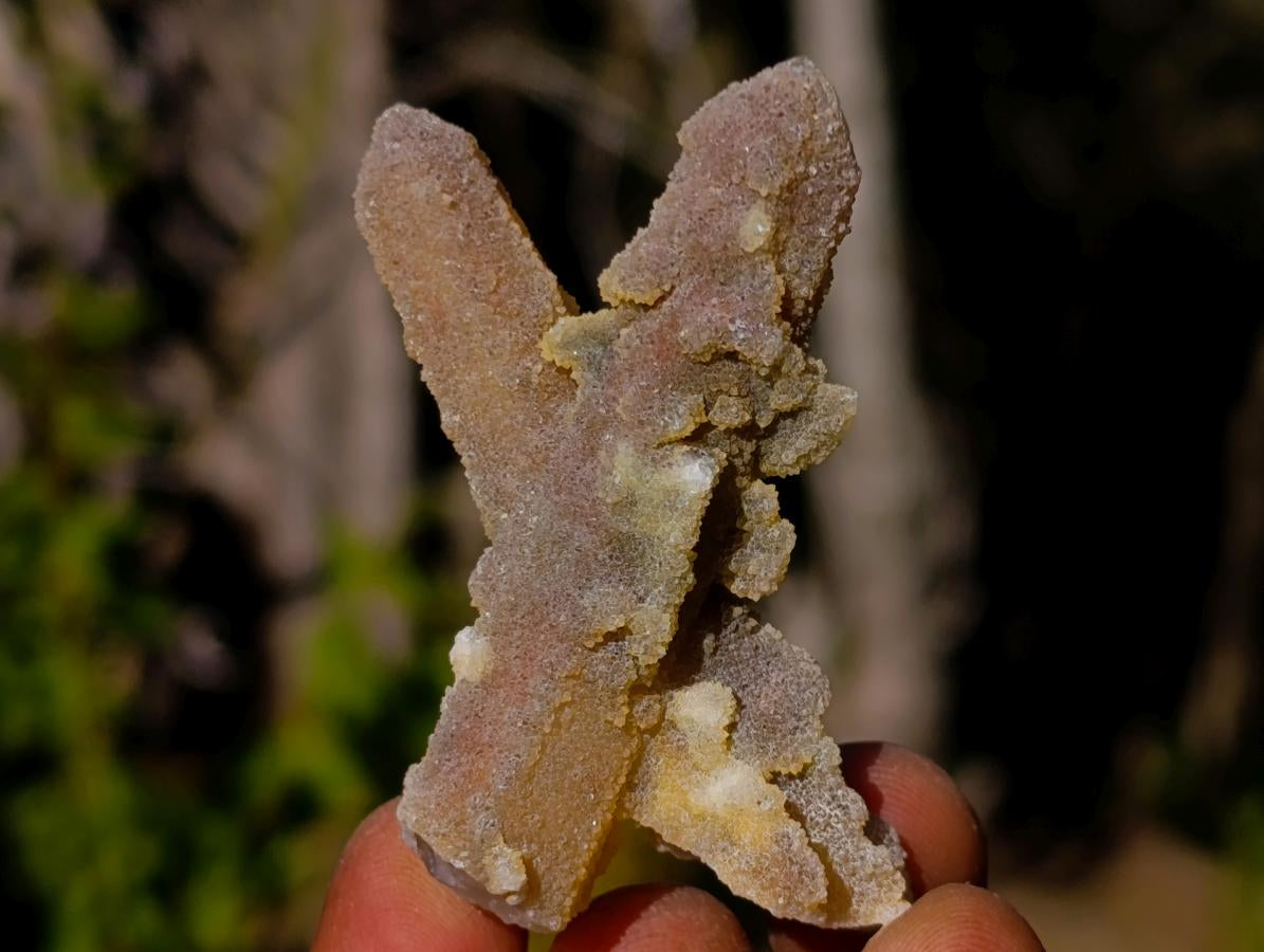 Natural Drusy Fairy Spirit Quartz Crystals x 35 From Boekenhouthoek, South Africa
