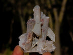 Natural Drusy Fairy Spirit Quartz Crystals x 35 From Boekenhouthoek, South Africa