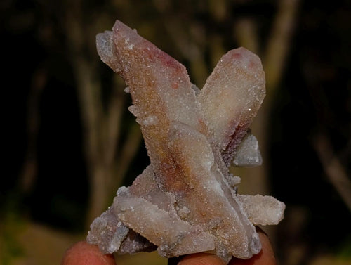 Natural Drusy Fairy Spirit Quartz Crystals x 35 From Boekenhouthoek, South Africa - Toprock Gemstones and Minerals 