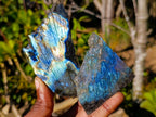 Polished One Side Labradorite Slices x 35 From Madagascar