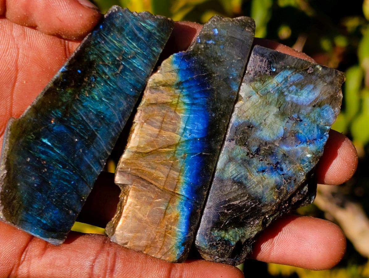 Polished One Side Labradorite Slices x 35 From Madagascar