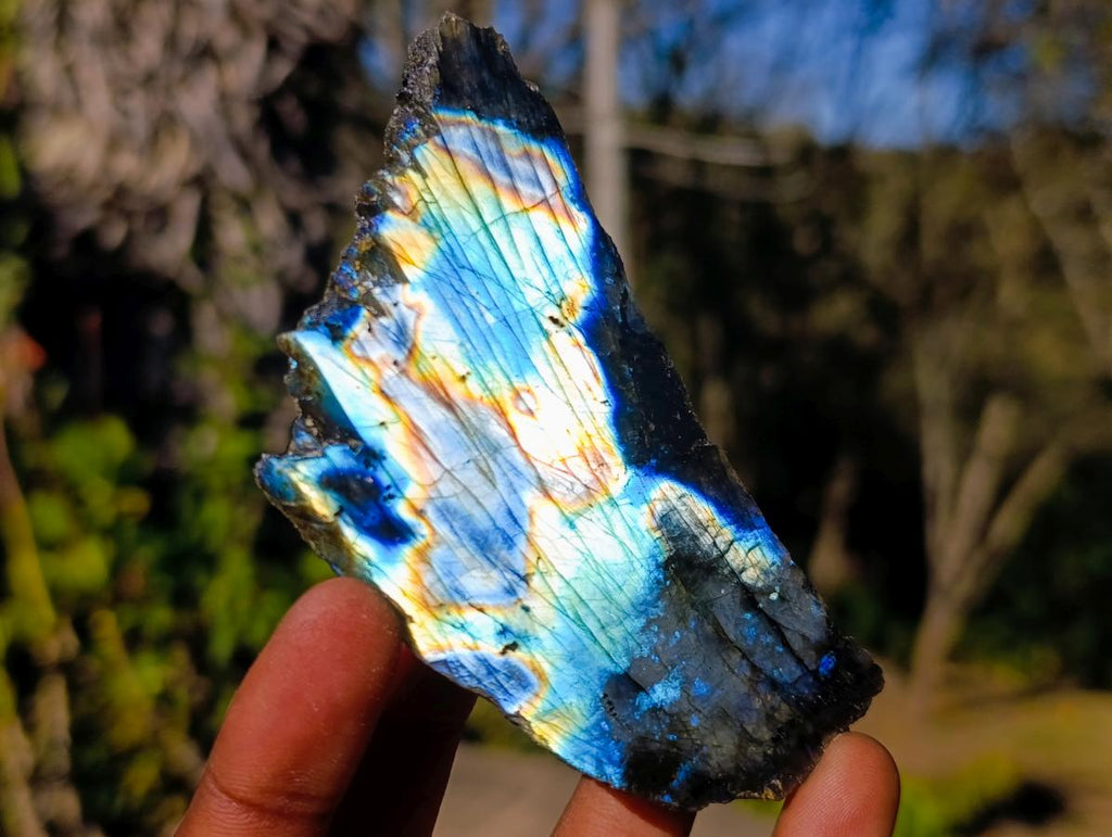 Polished One Side Labradorite Slices x 35 From Madagascar