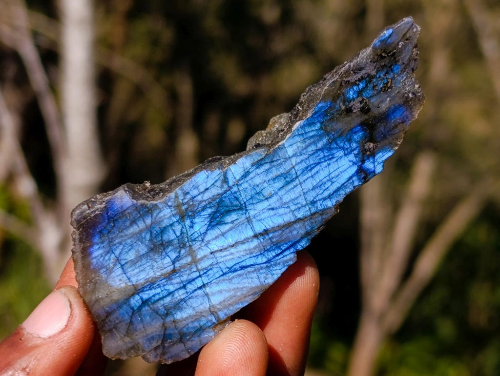 Polished One Side Labradorite Slices x 35 From Madagascar