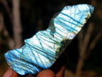 Polished One Side Labradorite Slices x 35 From Madagascar
