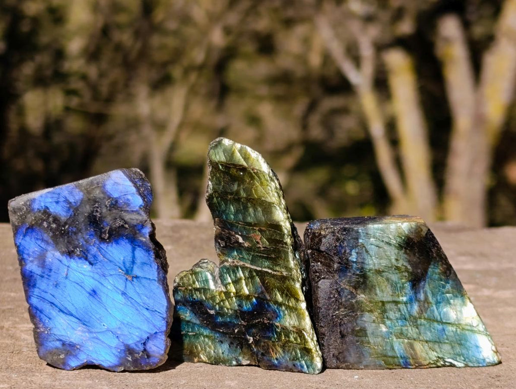 Polished One Side Labradorite Slices x 35 From Madagascar