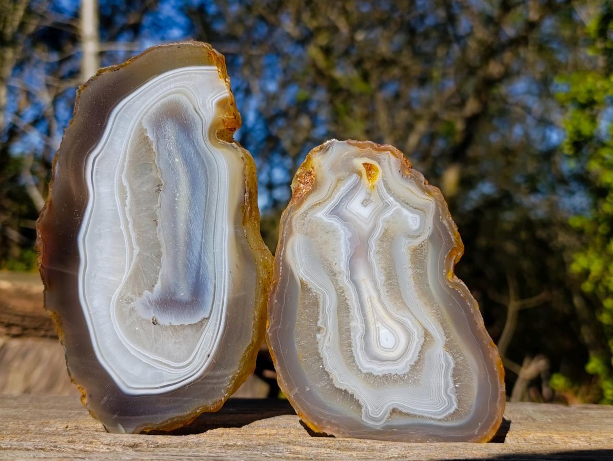 Polished Concentric Ring Agate Slices with Natural Edging x 6 From Madagascar