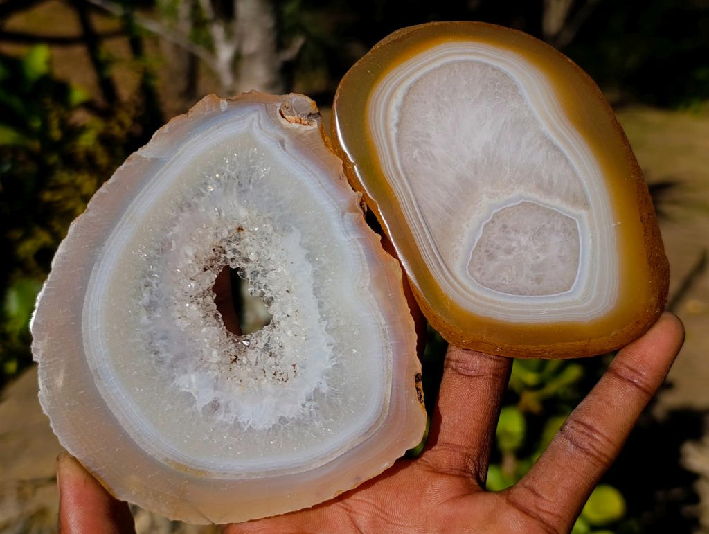 Polished Concentric Ring Agate Slices with Natural Edging x 6 From Madagascar