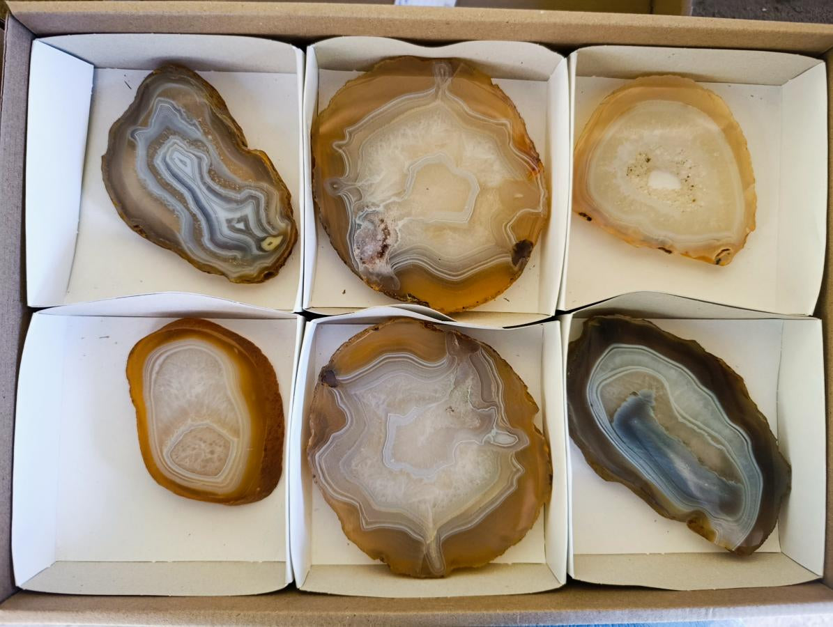 Polished Concentric Ring Agate Slices with Natural Edging x 6 From Madagascar