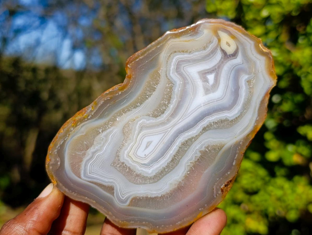 Polished Concentric Ring Agate Slices with Natural Edging x 6 From Madagascar